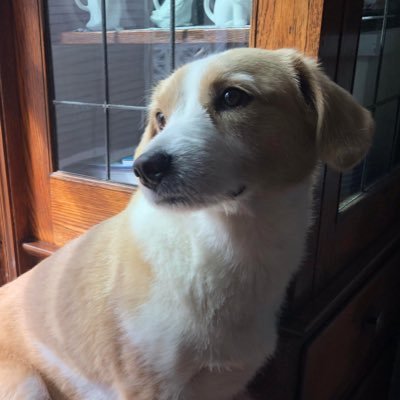 Profile Picture of Brian Cooper Wears A Mask (@hooperre) on Twitter