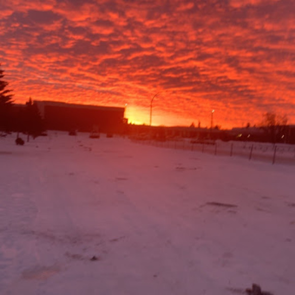 Profile Picture of Hailey Armstrong (@haileyarmstr870) on Poshmark