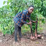 Profile Picture of Kimera Edward (@Kimera-Edward) on Facebook