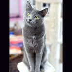 Profile Picture of Suzanne Tompkins (@suzanne.tompkins.2025) on Facebook