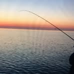 Steve Heinze - Facebook Profile Picture of Steve Heinze (@steve.heinze.927) on Facebook