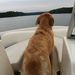 Profile Picture of Paul Doizé (@pauldoize) on Pinterest
