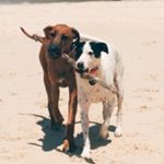 Profile Picture of Debbie Crompton (@debbie_crompton) on Instagram