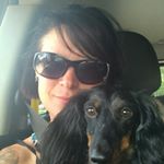 Dawn Fortier - Instagram Profile Picture of Dawn Fortier (@fortierdawn) on Instagram