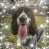 Profile Picture of Barry Stark57 (@@tankman63) on Tiktok