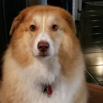 Profile Picture of Doug Daugherty (@DougDaugherty13) on Twitter