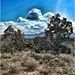 Profile Picture of Brian Oswald (@boswald0227) on Pinterest
