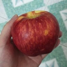 Profile Picture of Tran Huu Tan (@trantan_2007) on Twitter