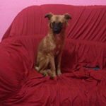 Profile Picture of princesa sofia (@lori_i_sofia_) on Instagram