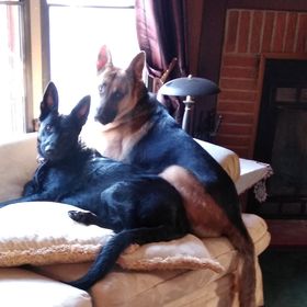 Profile Picture of Loredana Grippa (@lgrippa) on Pinterest