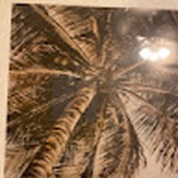 Profile Picture of Shelli Foust (@shelli-foust-1) on Quora