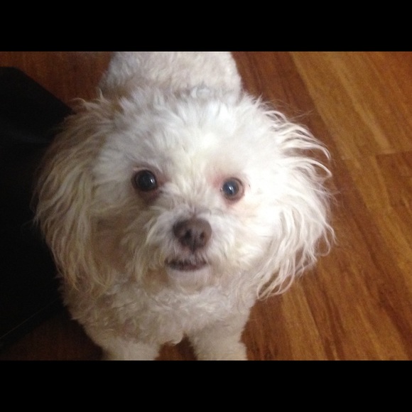 Kiki Blounts - Poshmark Profile Picture of Kiki Blounts (@ablounts) on Poshmark