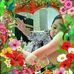Profile Picture of Safia Issa (@safia.issa.505) on Facebook