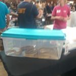 Profile Picture of Timothy Plaine (@timothy_plaine) on Instagram