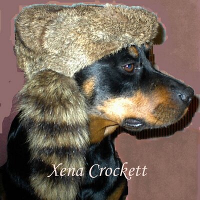 Profile Picture of Pat Hawk (@xenacrockett) on Twitter