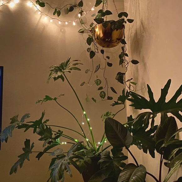 Ashley Malakoff - Poshmark Profile Picture of Ashley Malakoff (@ashley_malakoff) on Poshmark