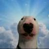 Profile Picture of O_o (@@ianrudolph) on Tiktok