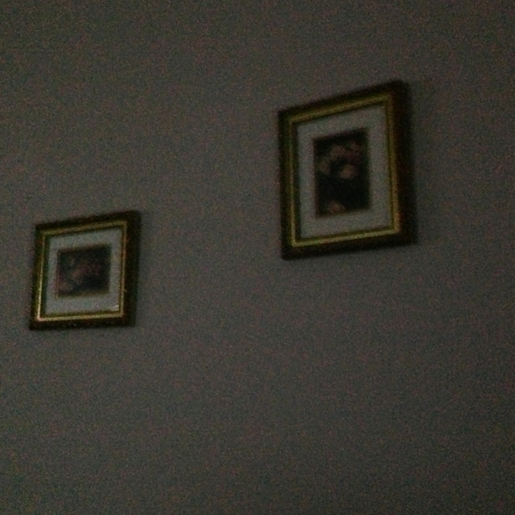 Profile Picture of Kim Thayer (@kimrobt) on Poshmark