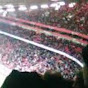 Profile Picture of Matt Curtis (@@arsenalfan908) on Tiktok