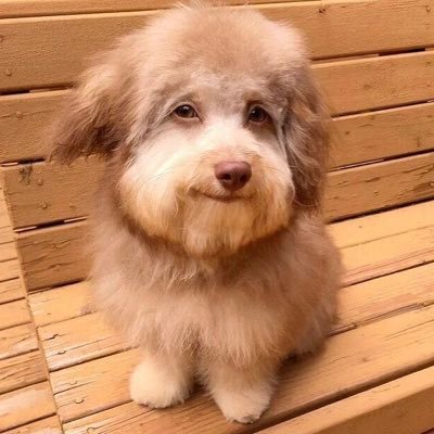 Profile Picture of Daryl Castillo (@Dareaal1) on Twitter