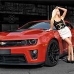 Profile Picture of Wayne Fink (@zl1580hpcamaro) on Instagram