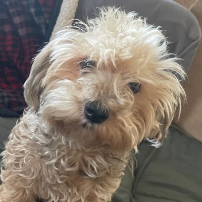 Profile Picture of Evan Dyer (@EvanDye17371036) on Twitter