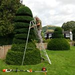 Profile Picture of neil rowlands (@rowlands_neil) on Instagram