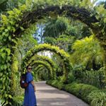 smriti.raii - Instagram Profile Picture of smriti.raii (@smriti.raii) on Instagram