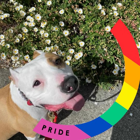 Profile Picture of Corey Kime (@coreykime) on Poshmark