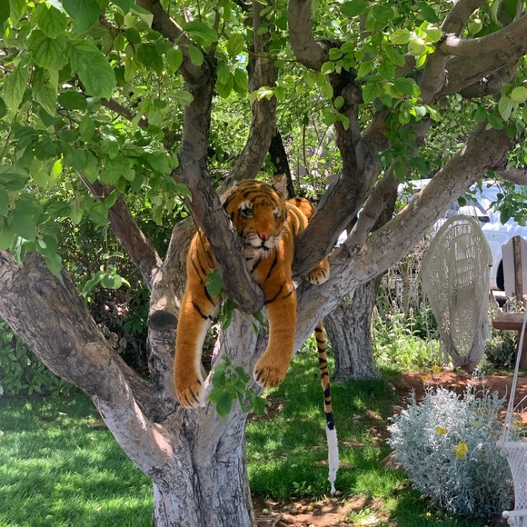 Profile Picture of Stephen Raker (@stephenraker) on Poshmark