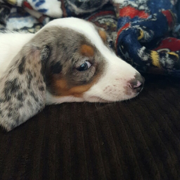 Profile Picture of Jenifer Hughes (@jenhug1975) on Poshmark