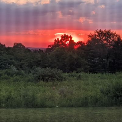 Profile Picture of Stephen Lilly (@stephenrlilly) on Twitter