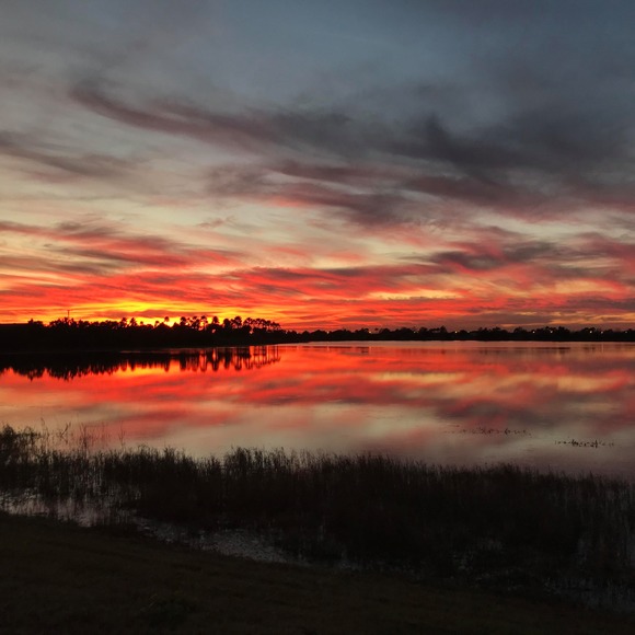 Profile Picture of Bianca Vera (@bnvera90) on Poshmark