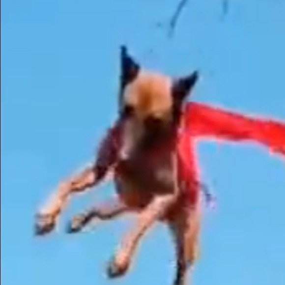 Johnny Carbone - Poshmark Profile Picture of Johnny Carbone (@johnny_carbone) on Poshmark