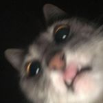 Profile Picture of Yulia.Melamud (@yulia_melamud_17) on Instagram