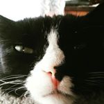 Profile Picture of Curtis Coburn (@vishera310) on Instagram