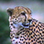 Profile Picture of Alex Escobar (@ALESGU) on Flickr