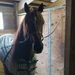 Profile Picture of Jimmie Ritter (@jimmie0720) on Pinterest