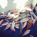 Profile Picture of Tony Mancini (@tonymancini88) on Instagram