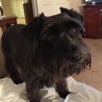 Profile Picture of Barbara Mancuso (@bobbie.gail) on Instagram