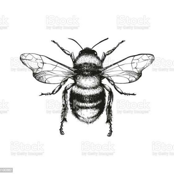 Profile Picture of Raiya Puttick (@bee_boy) on Poshmark