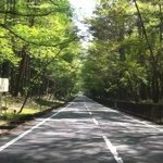 Profile Picture of shanok (@shanok) on Instagram