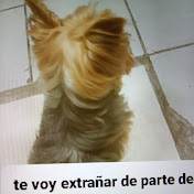 Profile Picture of Bryan Escobedo (@BryanEscobedo-k4u) on Youtube