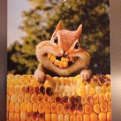 Profile Picture of (miss)understood (@SaSterri) on Twitter