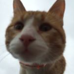 Profile Picture of alexchanin (@alexchanin) on Instagram