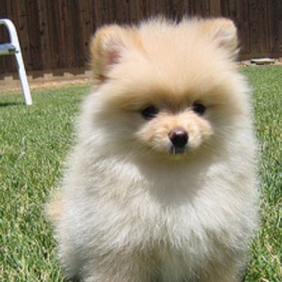 Profile Picture of Karin Yehudai (@karinyehudai) on Poshmark