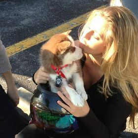 Profile Picture of Lacey Clark (@laycee123) on Pinterest