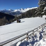 Profile Picture of DannyB. (@bischoffdanny) on Instagram