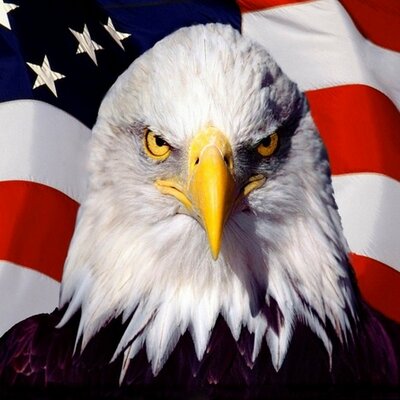 Profile Picture of Steve Sedwick (@ssedwick510) on Twitter