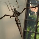 Profile Picture of Evan Ramsey (@evan_ramsey_) on Instagram